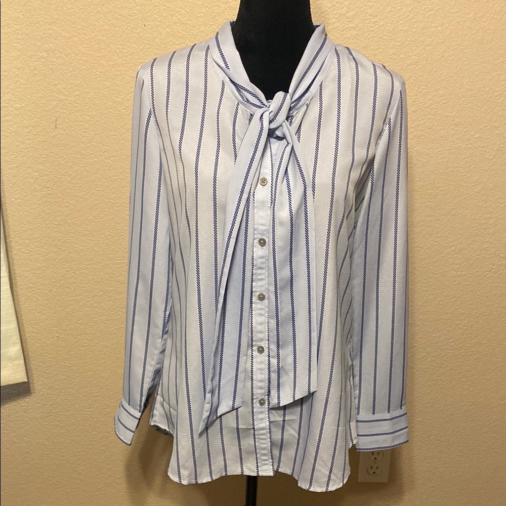 Striped Blue and White Women's Dillons Shirt - Picture 2 of 10